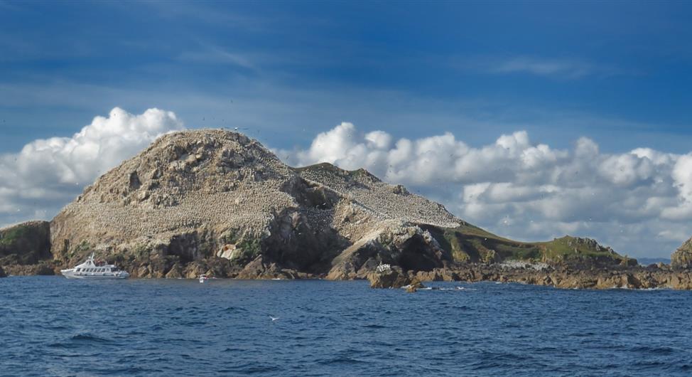 7 iles archipelago - Camping Trébeurden - Camping Armor Loisirs