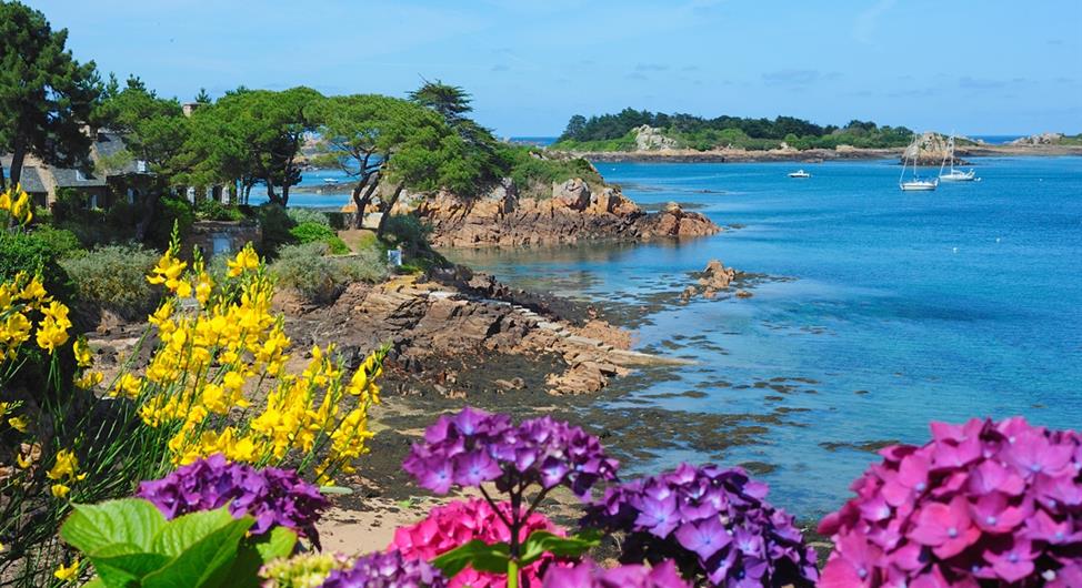 Bréhat island near the 3-star Armor Loisirs campsite in Trébeurden Côtes d'Armor-Bretagne - Camping Armor Loisirs